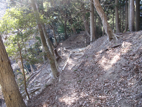 20170126hike (394)